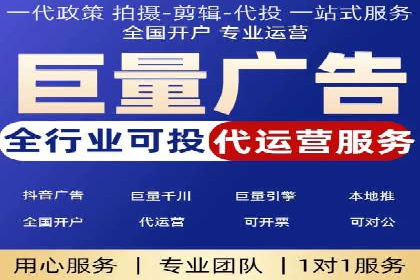 百度竞价广告投放全解析：成功案例揭秘